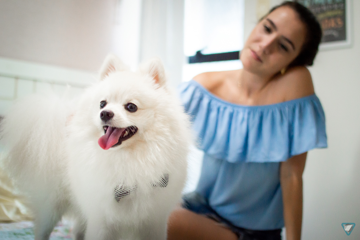 Ensaio Pet em Natal/RN, Fotografia Pet em Natal/RN, Ensaio Lifestyle em Natal/RN