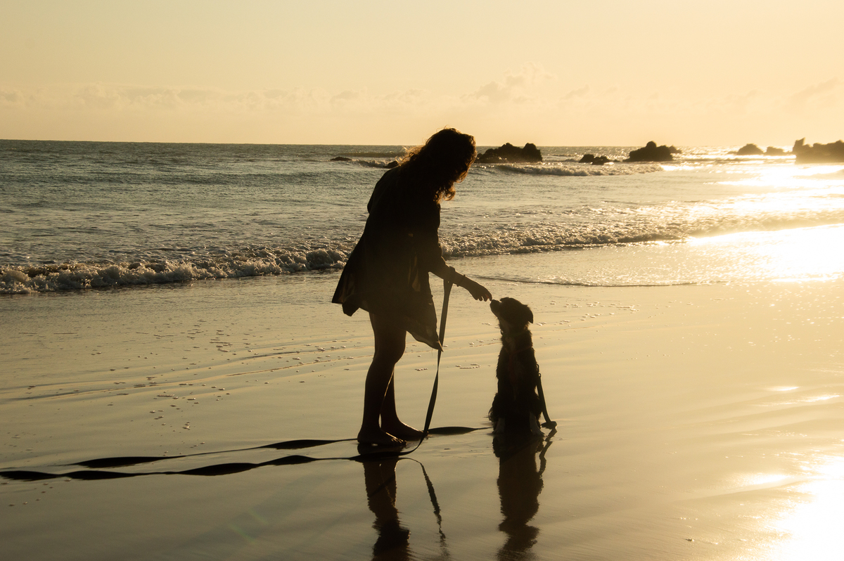 Ensaio pet na praia Natal/RN