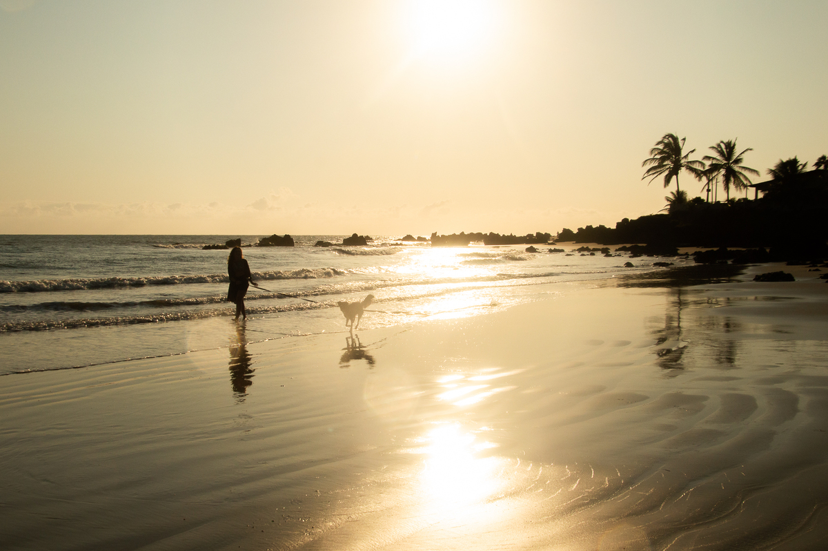Ensaio pet na praia Natal/RN