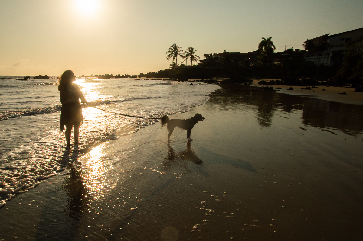 Ensaio pet na praia Natal/RN