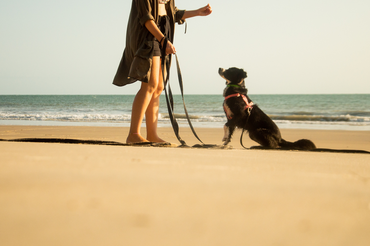 Ensaio pet na praia Natal/RN