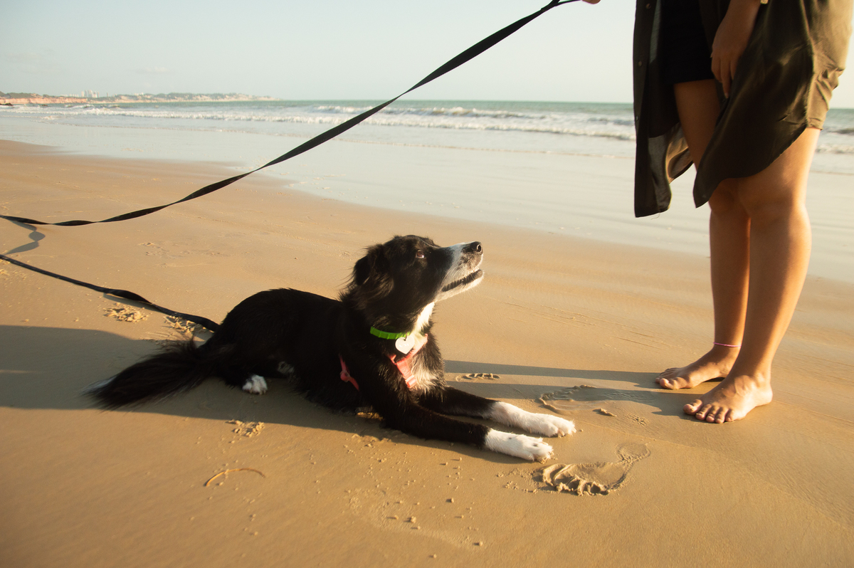 Ensaio pet na praia Natal/RN