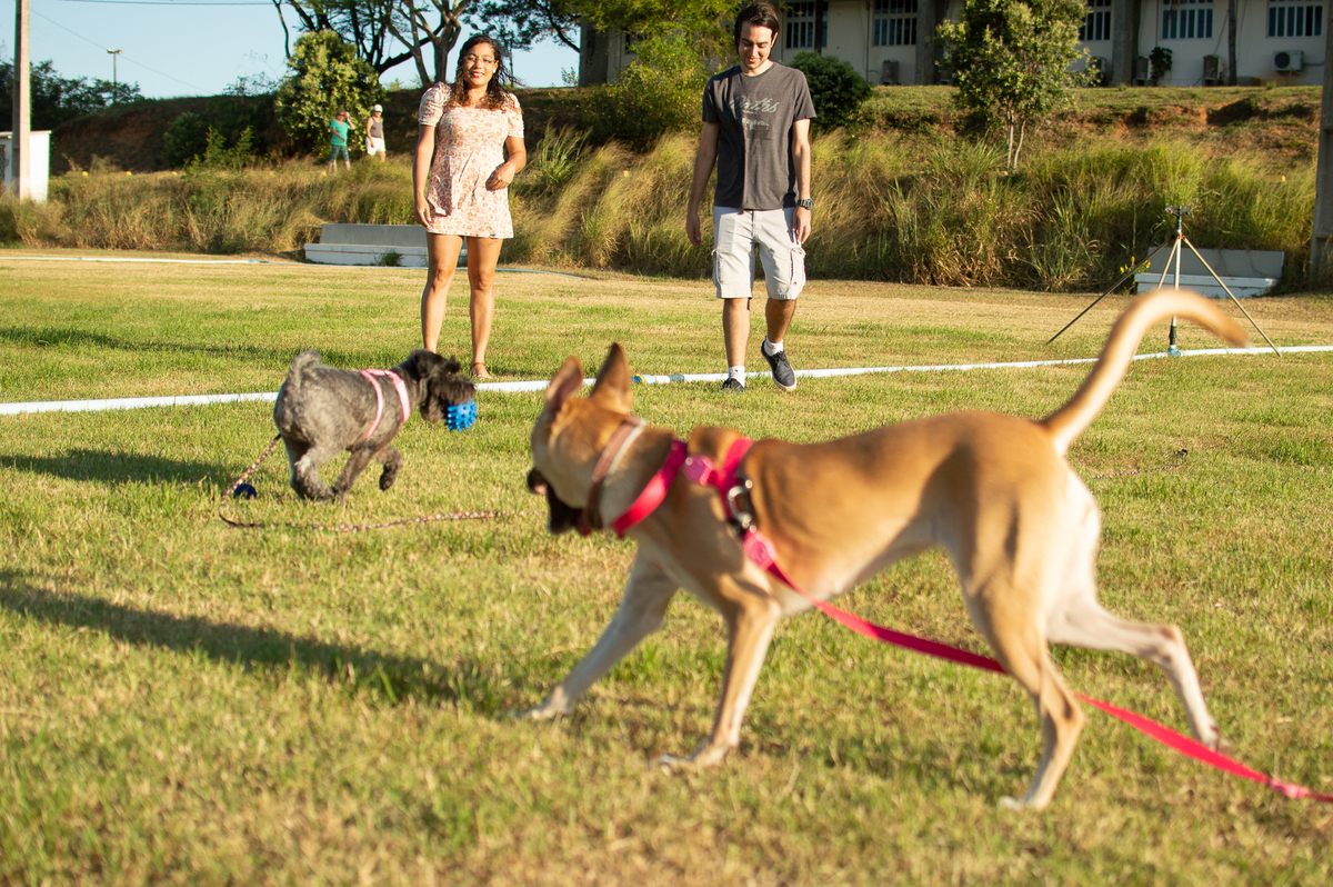 Ensaio Pet externo em Natal/RN