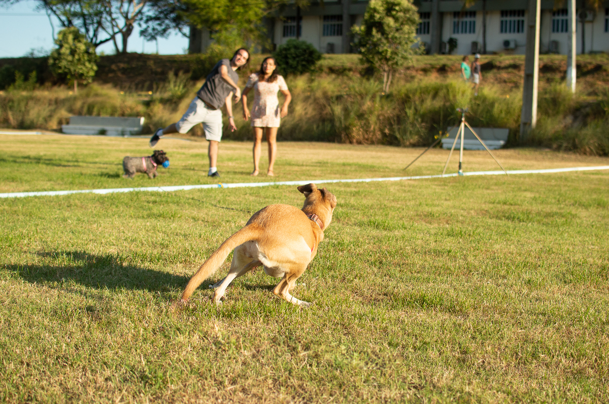 Ensaio Pet externo em Natal/RN