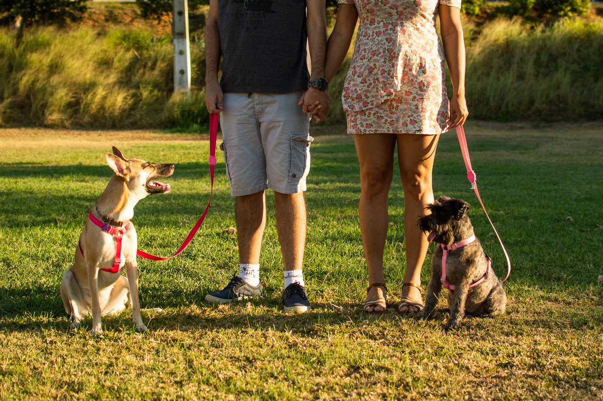 Ensaio Pet externo em Natal/RN