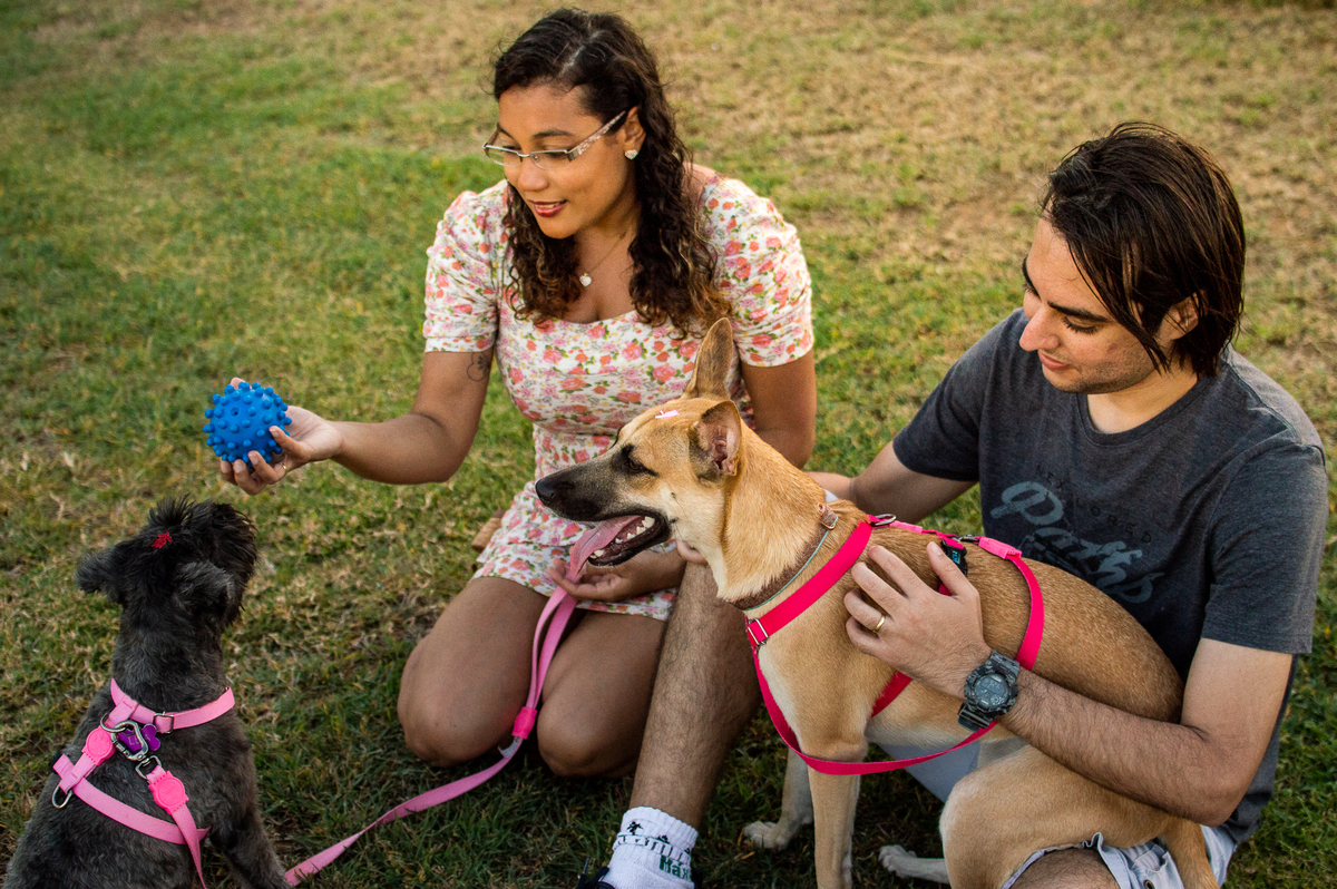 Ensaio Pet externo em Natal/RN