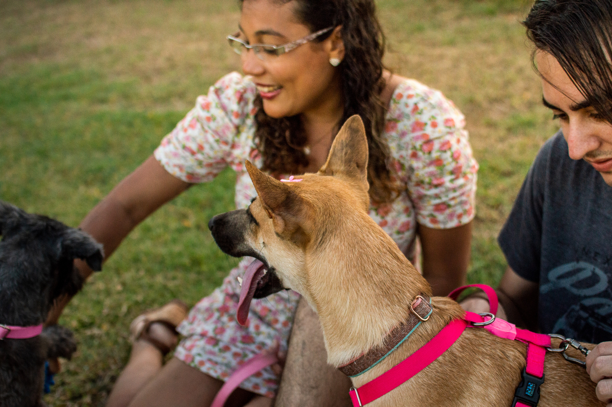 Ensaio Pet externo em Natal/RN