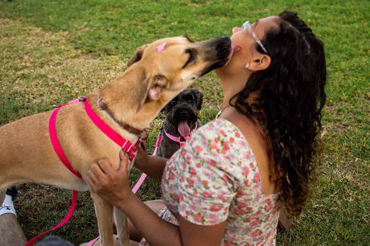 Ensaio Pet externo em Natal/RN
