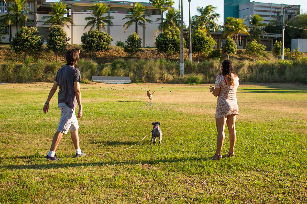 Ensaio Pet externo em Natal/RN