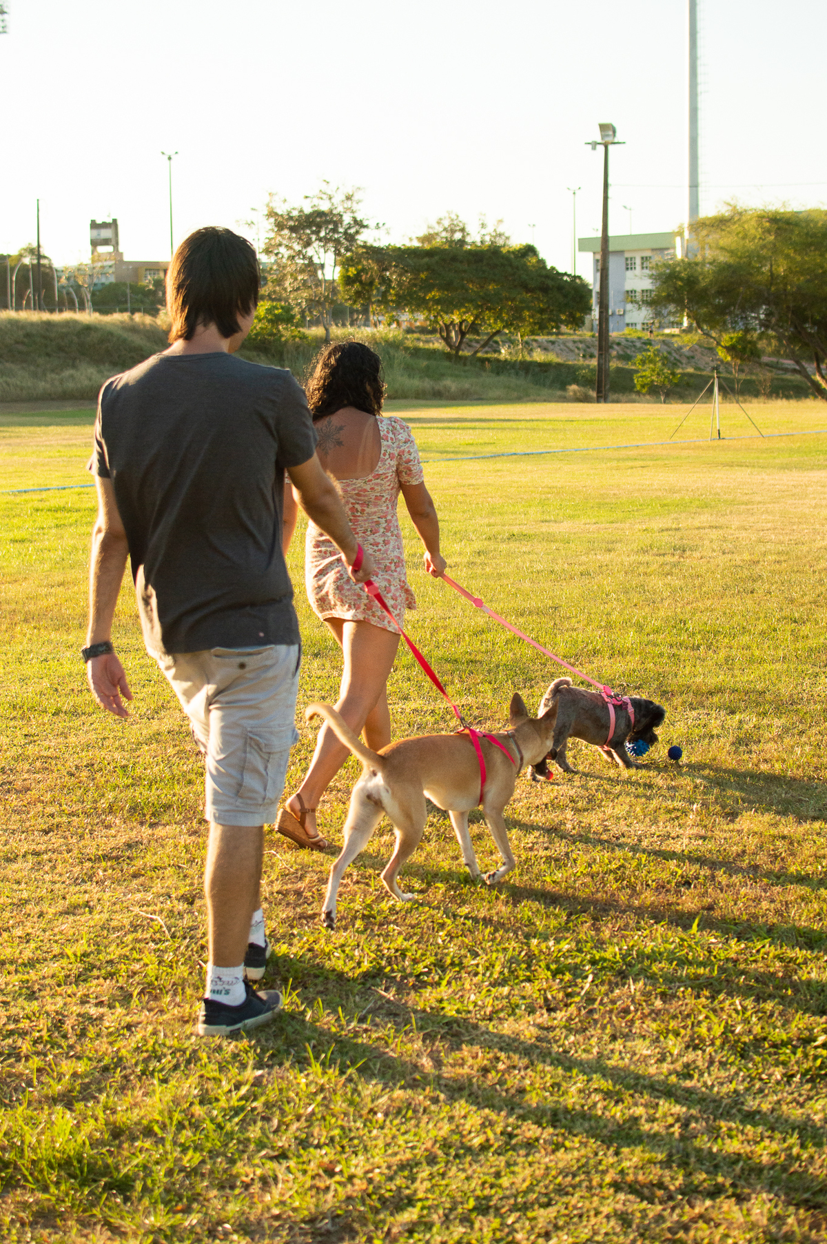 Ensaio Pet externo em Natal/RN