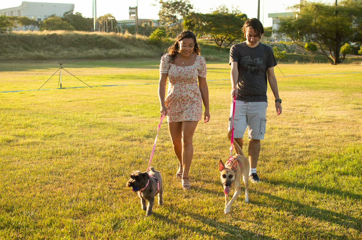 Ensaio Pet externo em Natal/RN