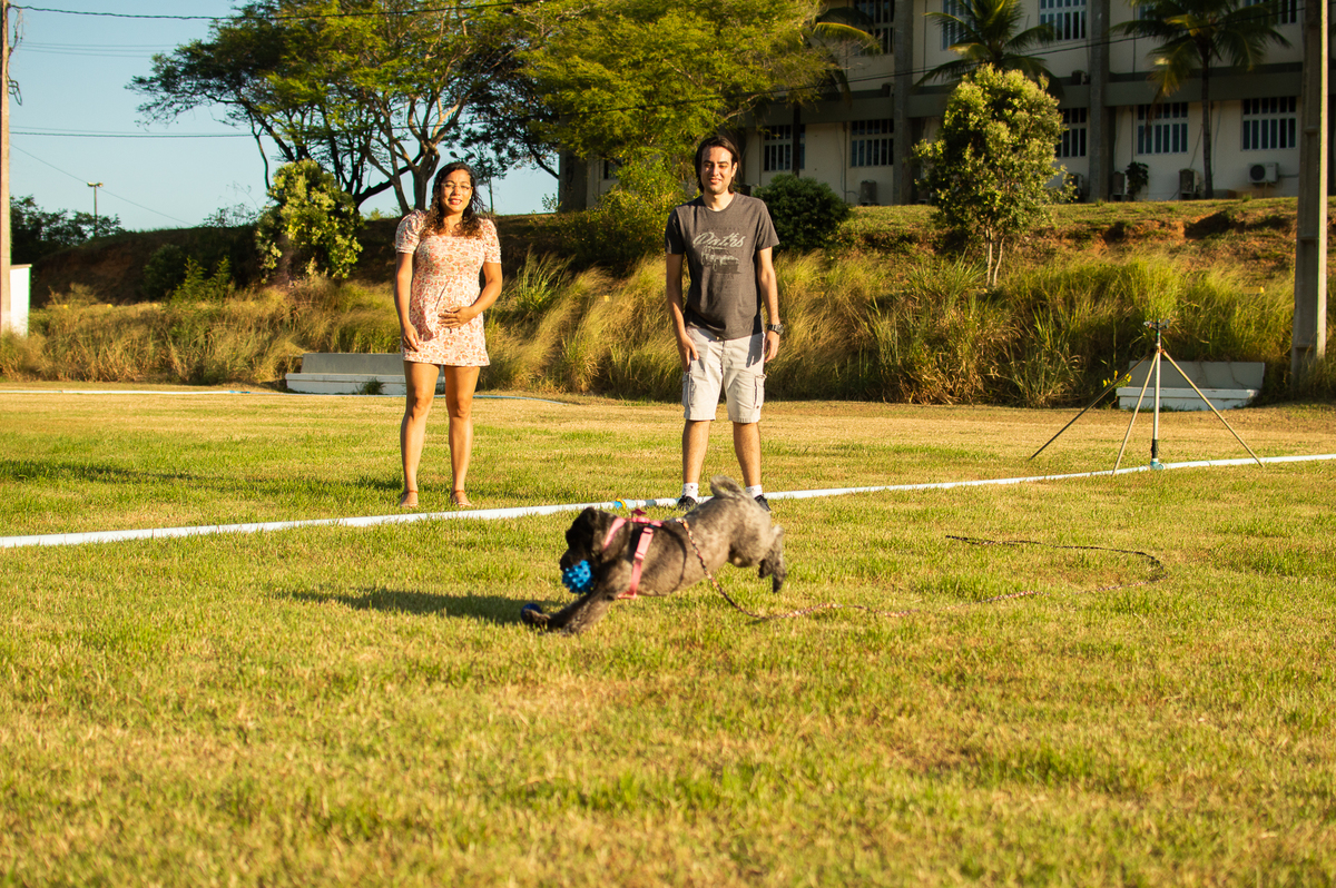 Ensaio Pet externo em Natal/RN