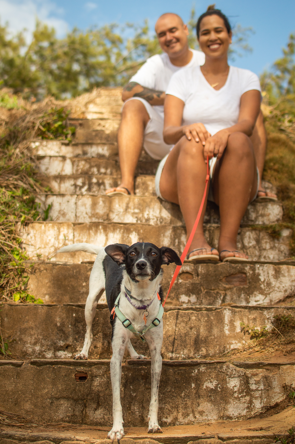 Ensaio de família em Natal/RN, Ensaio Pet em Natal/RN