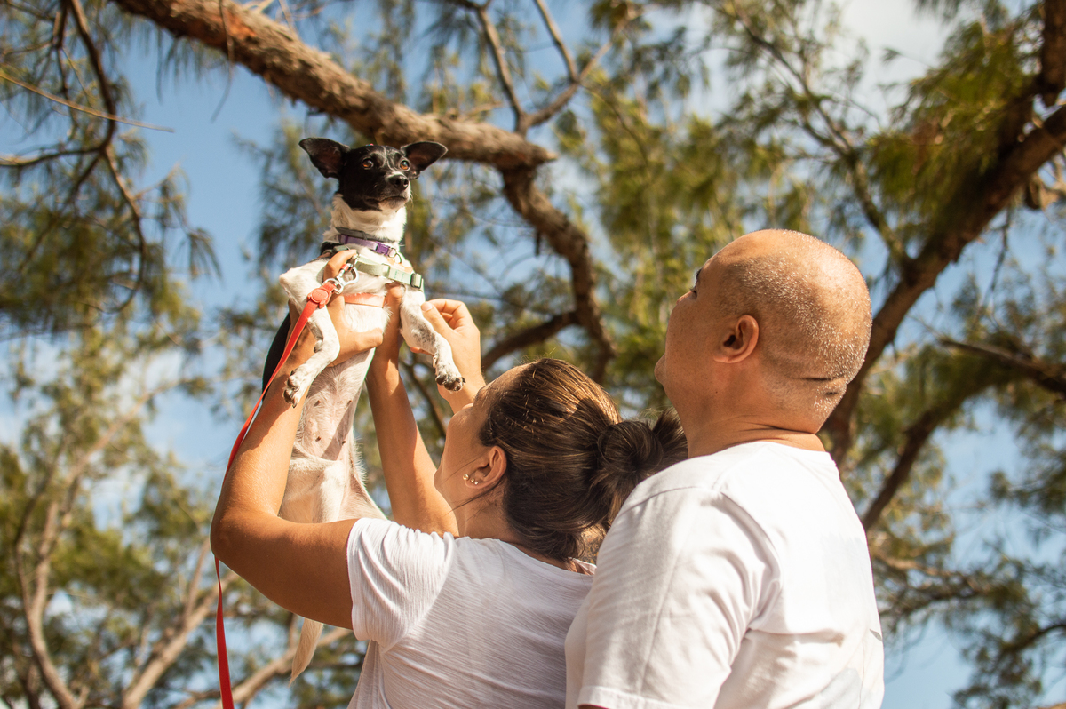 Ensaio de família em Natal/RN, Ensaio Pet em Natal/RN