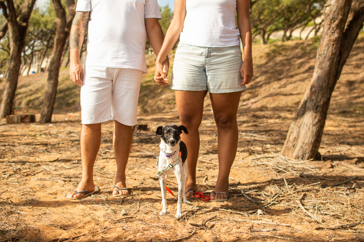 Ensaio de família em Natal/RN, Ensaio Pet em Natal/RN