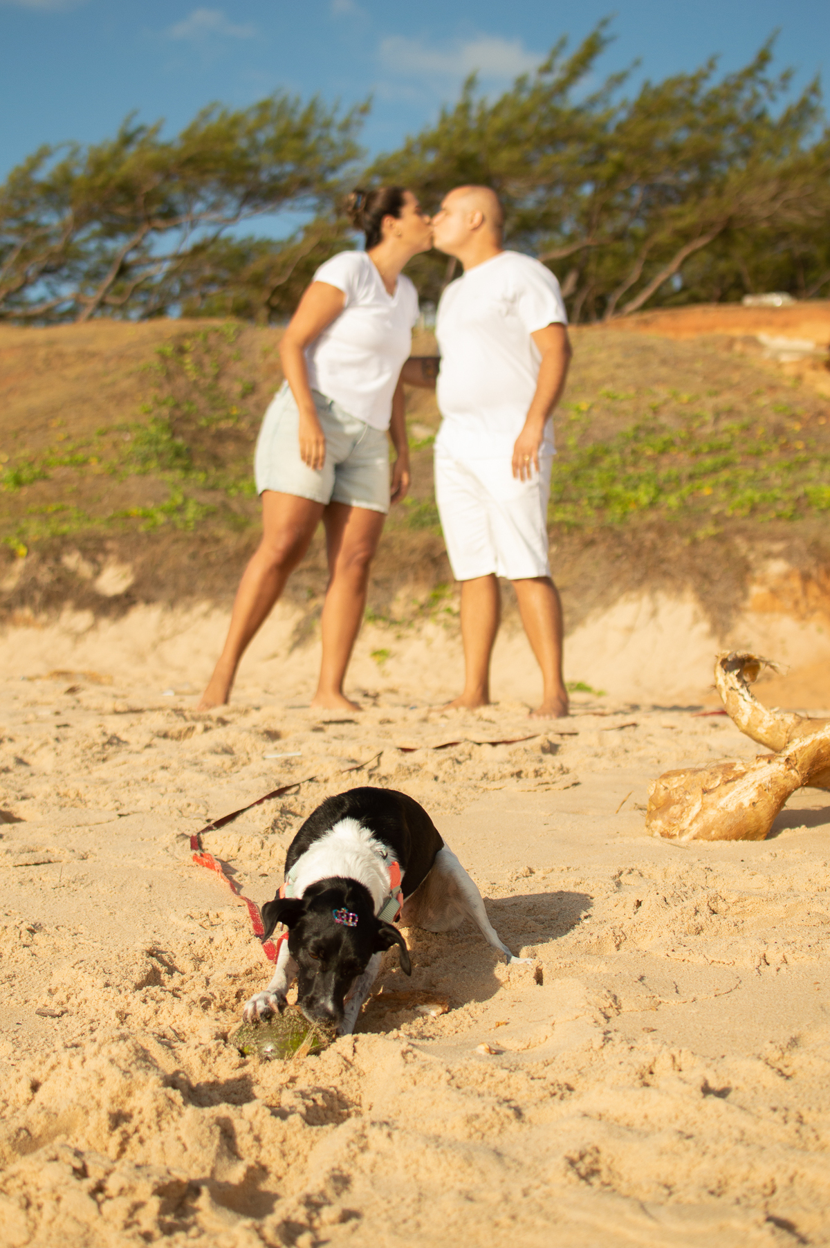 Ensaio de família em Natal/RN, Ensaio Pet em Natal/RN