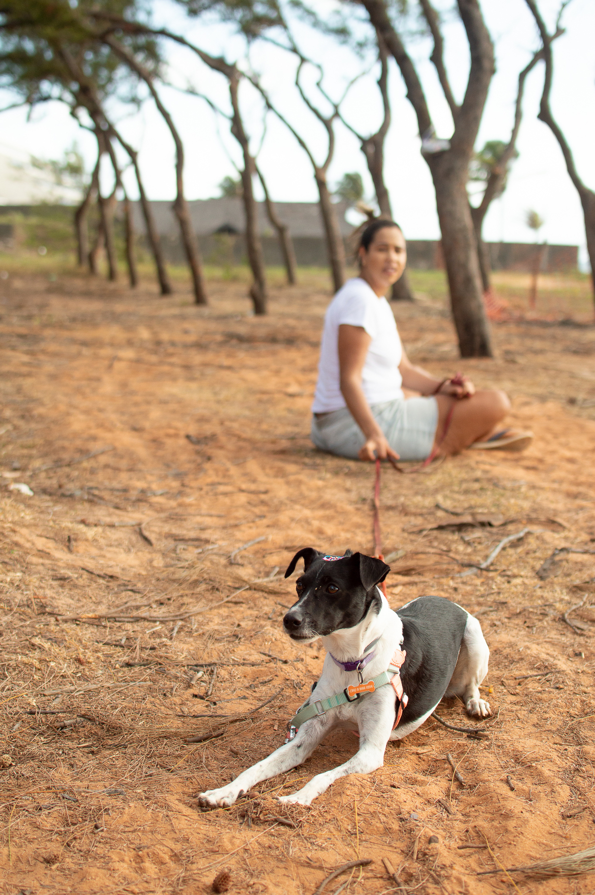 Ensaio de família em Natal/RN, Ensaio Pet em Natal/RN