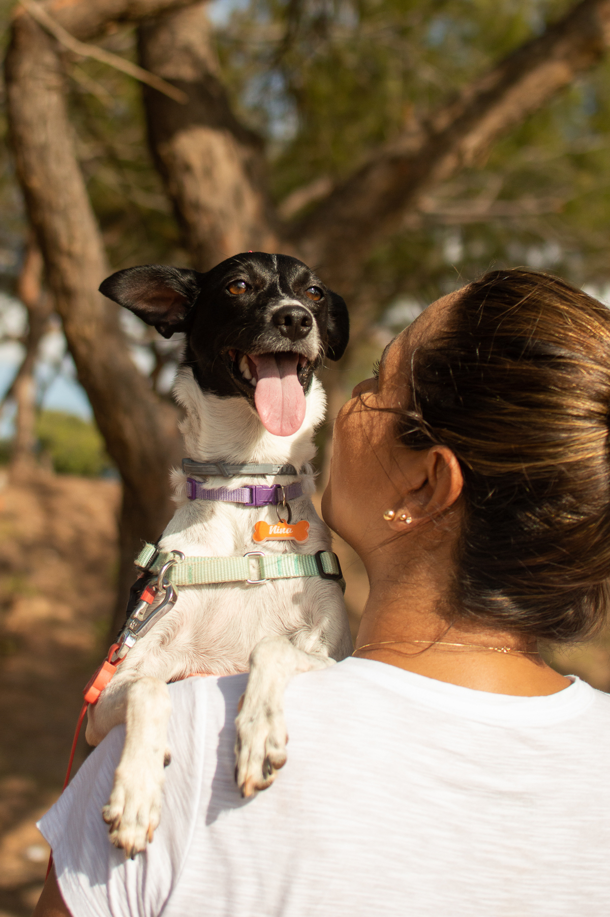 Ensaio de família em Natal/RN, Ensaio Pet em Natal/RN