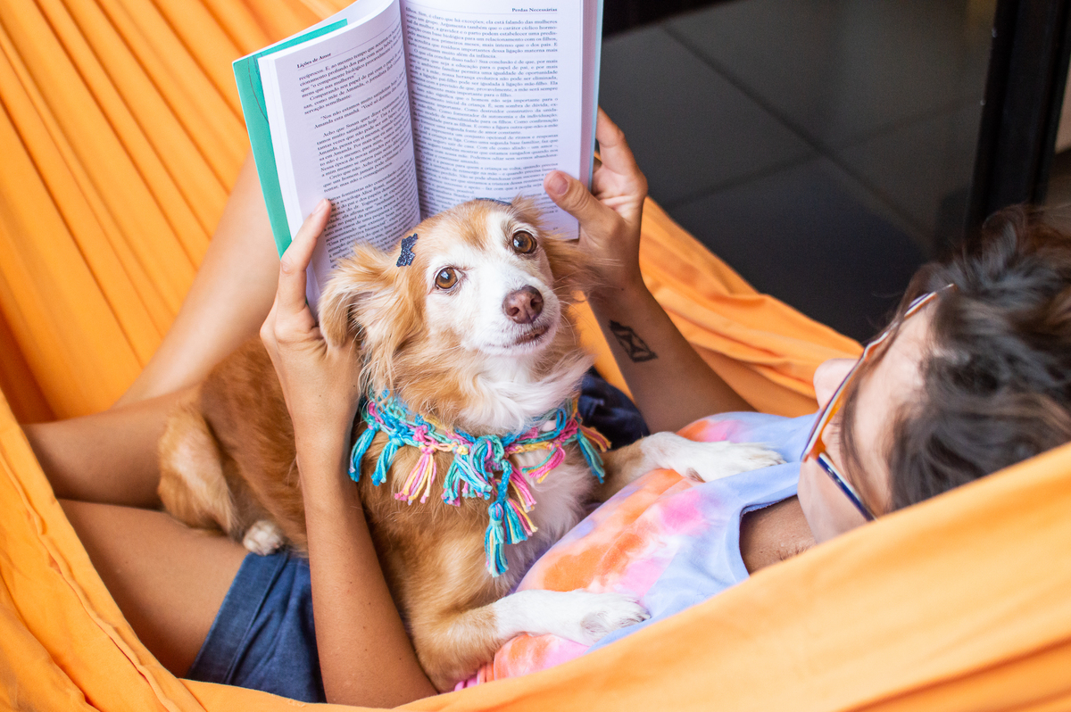 Ensaio pet em casa na rede