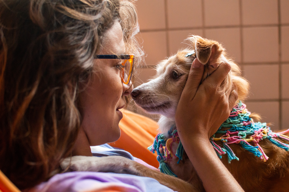 Ensaio pet em casa na rede