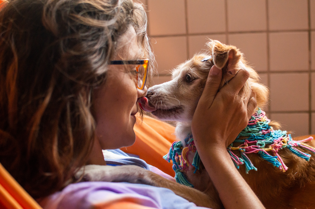 Ensaio pet em casa na rede
