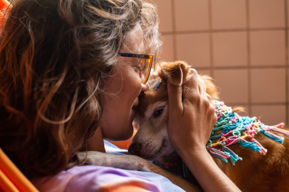 Ensaio pet em casa na rede