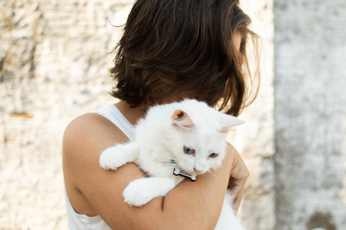 Ensaio de família em Natal/RN, Ensaio Pet em Natal/RN, Ensaio de casal em Natal/RN