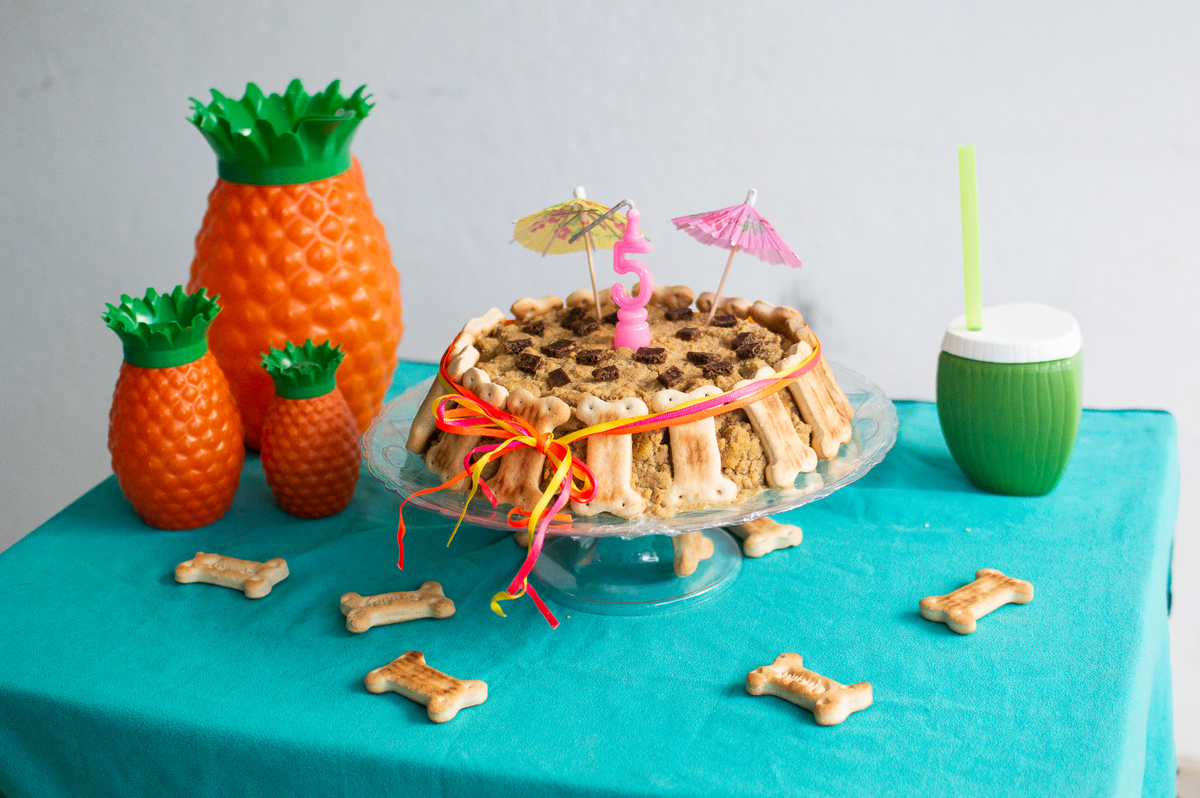 Ensaio - Festa - Pet Natal/RN, Fotografia Pet em Natal/RN, Bolo pet, festa havaiana