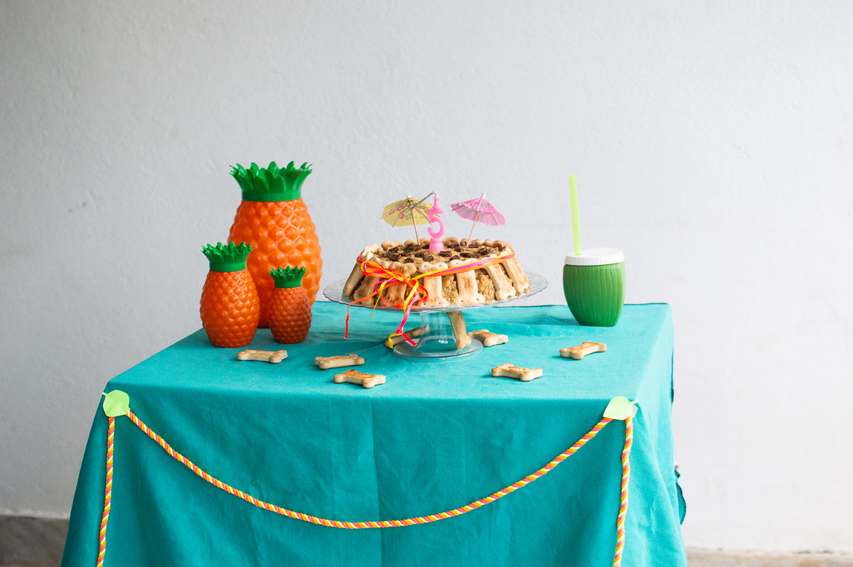 Ensaio - Festa - Pet Natal/RN, Fotografia Pet em Natal/RN, Bolo pet, festa havaiana