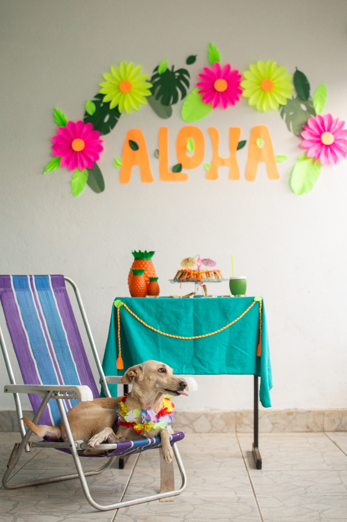 Ensaio - Festa - Pet Natal/RN, Fotografia Pet em Natal/RN, Bolo pet, festa havaiana