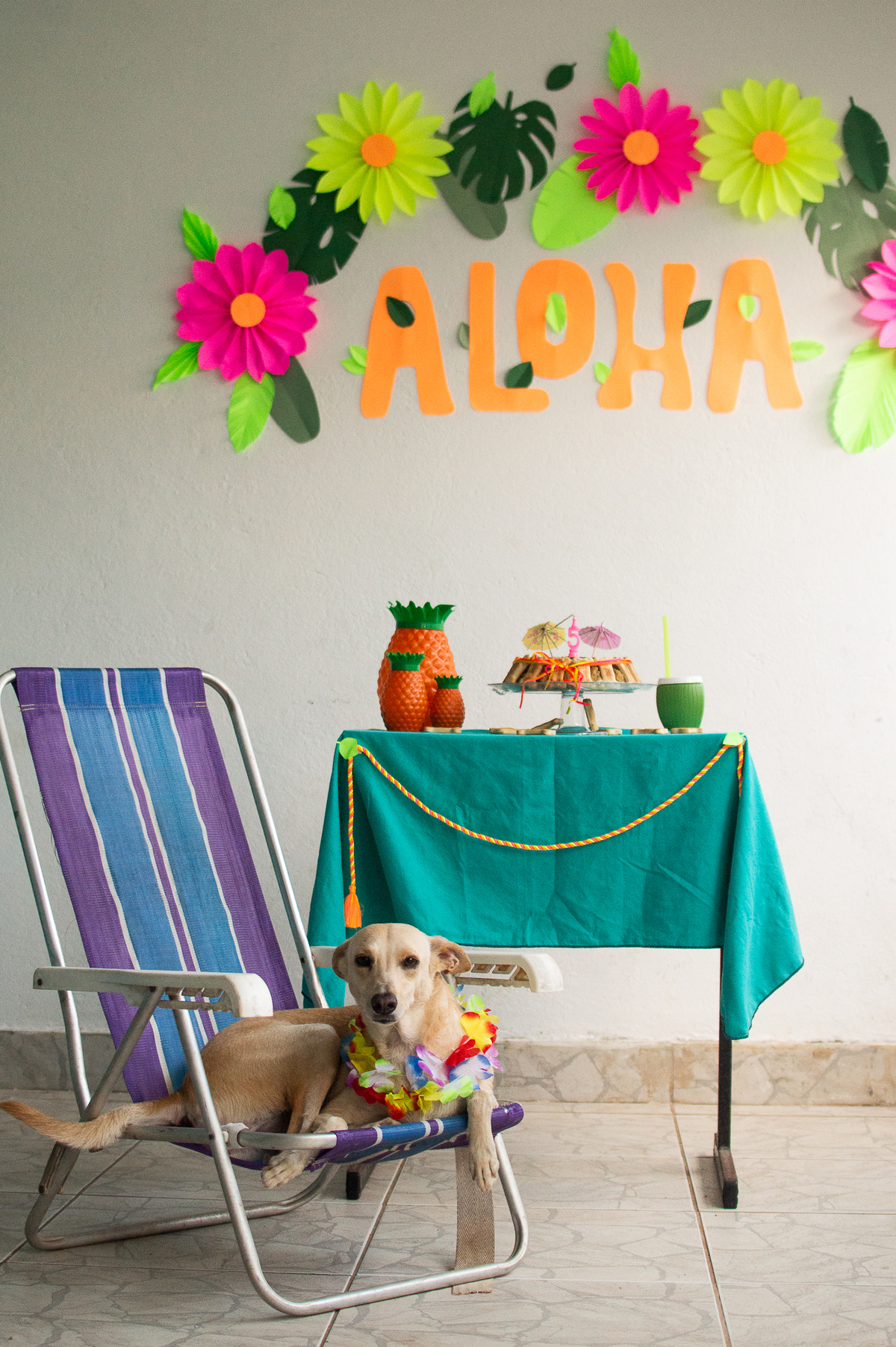 Ensaio - Festa - Pet Natal/RN, Fotografia Pet em Natal/RN, Bolo pet, festa havaiana