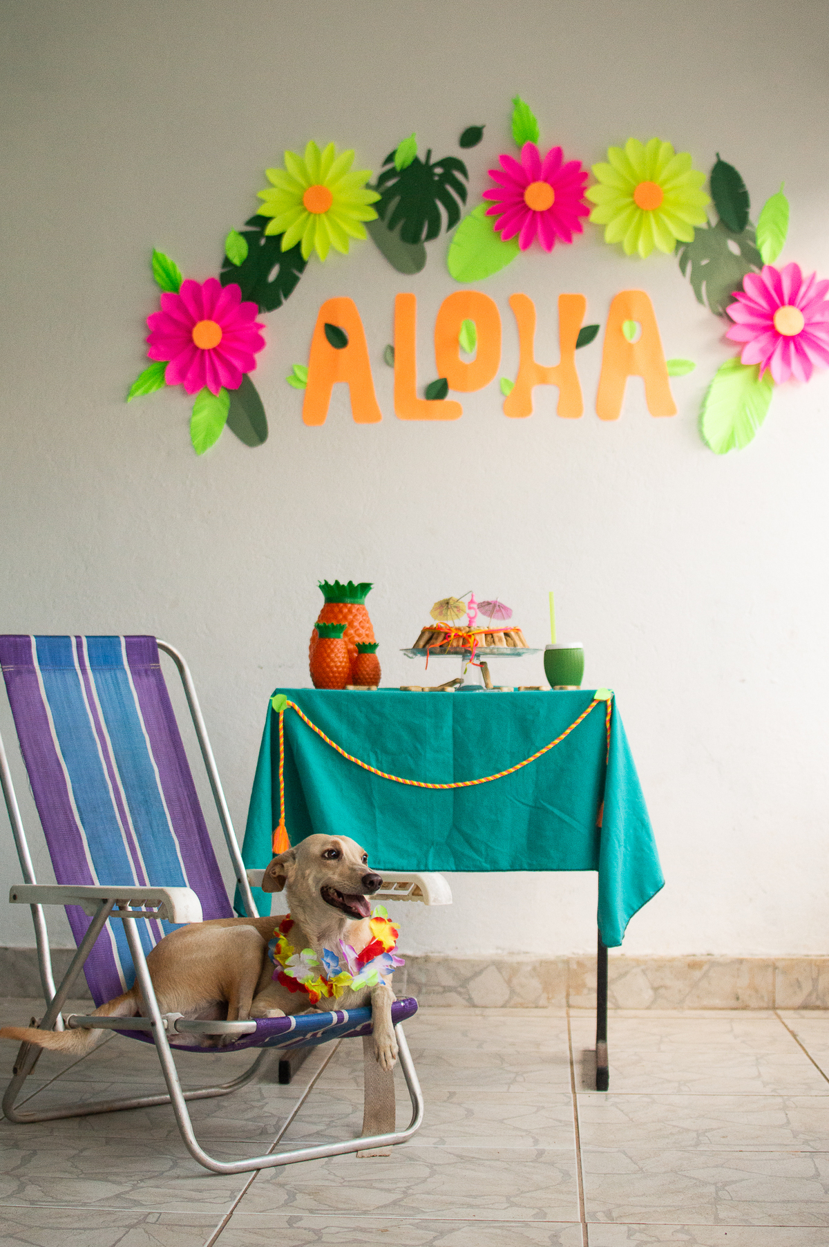 Ensaio - Festa - Pet Natal/RN, Fotografia Pet em Natal/RN, Bolo pet, festa havaiana