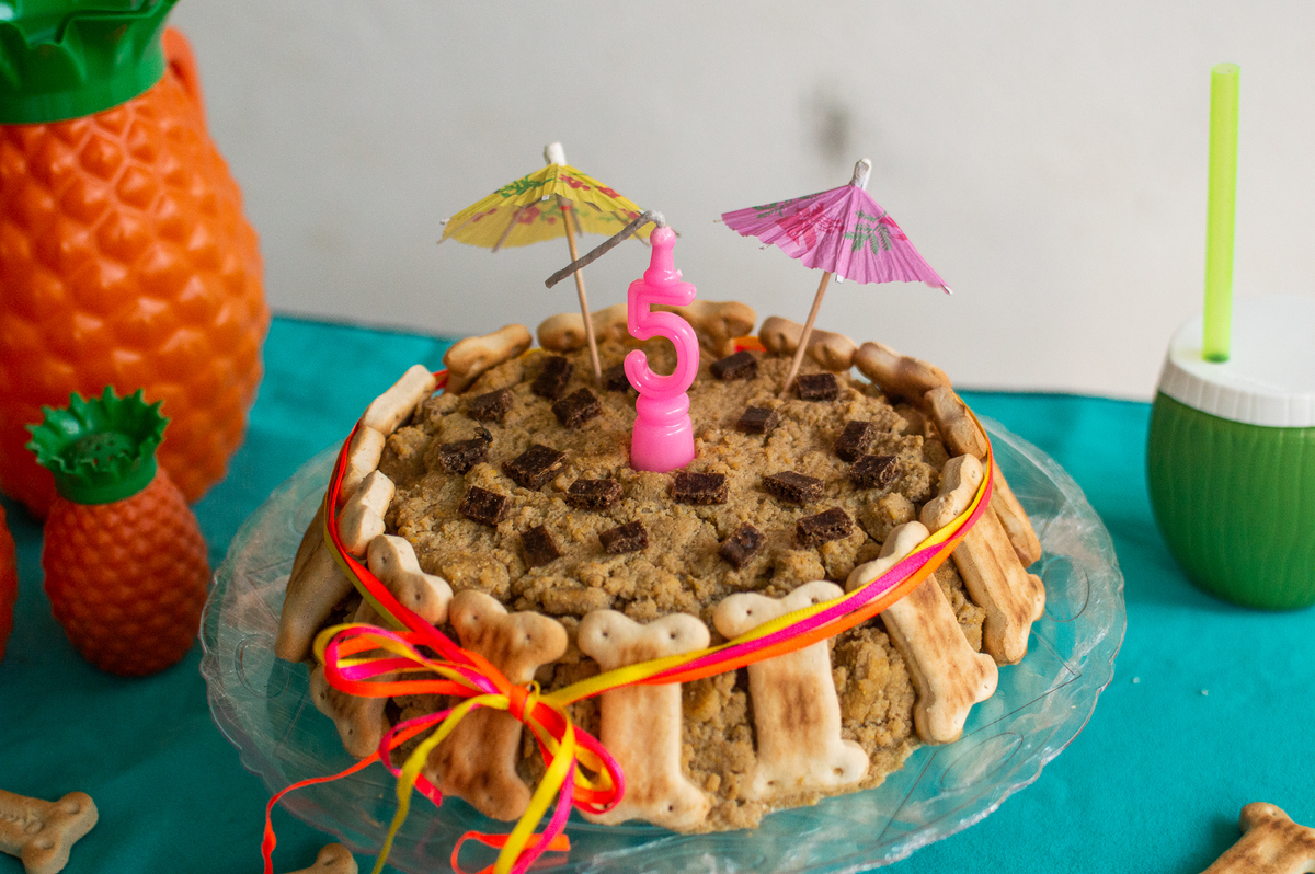 Ensaio - Festa - Pet Natal/RN, Fotografia Pet em Natal/RN, Bolo pet, festa havaiana