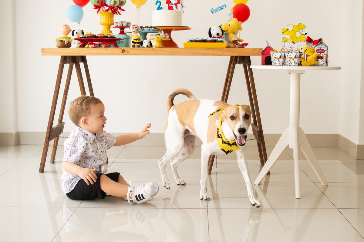 Aniversário infantil, tema snoopy, festa em casa, festa afetiva, natal/rn evento infantil