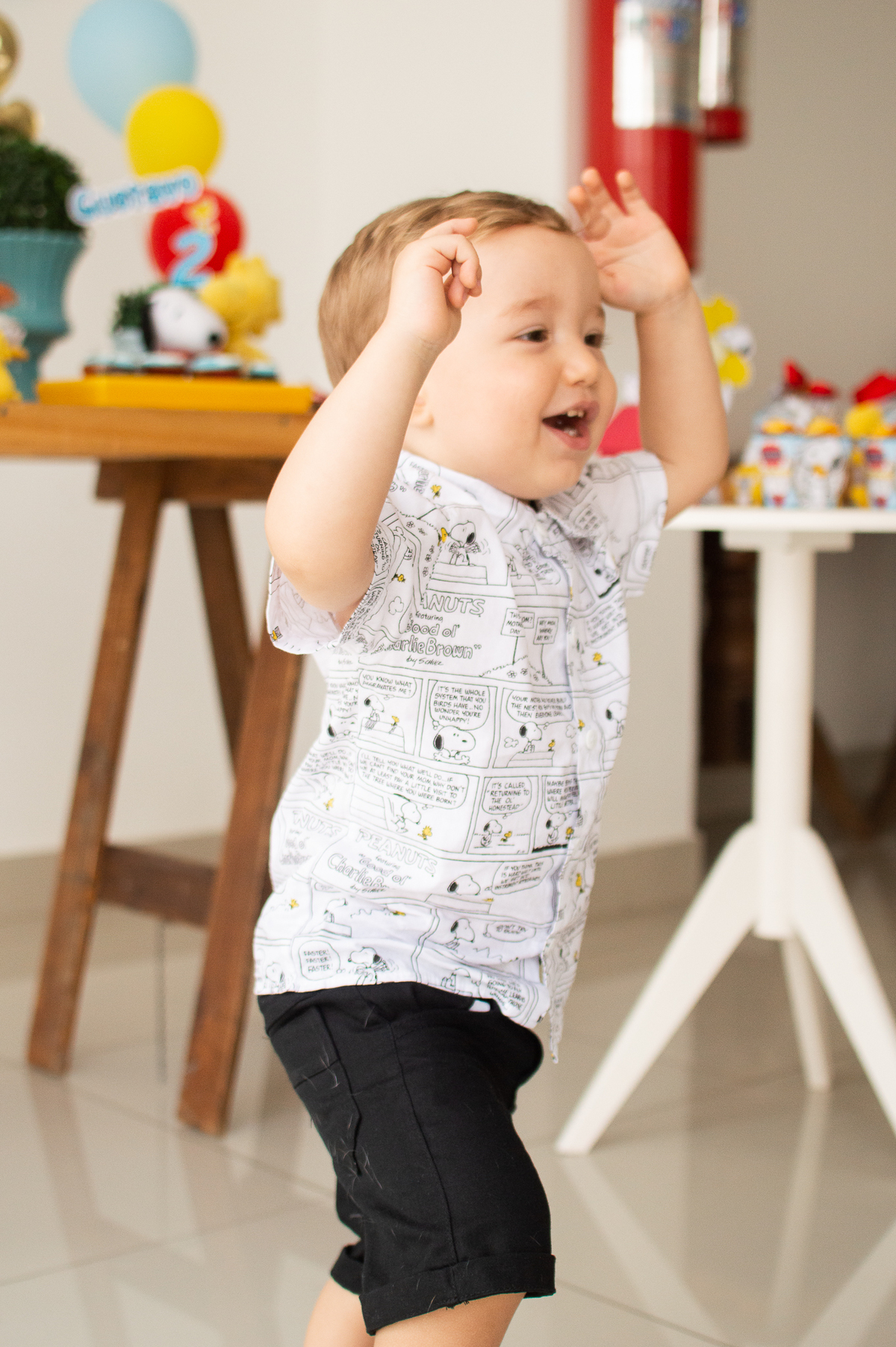 Aniversário infantil, tema snoopy, festa em casa, festa afetiva, natal/rn evento infantil