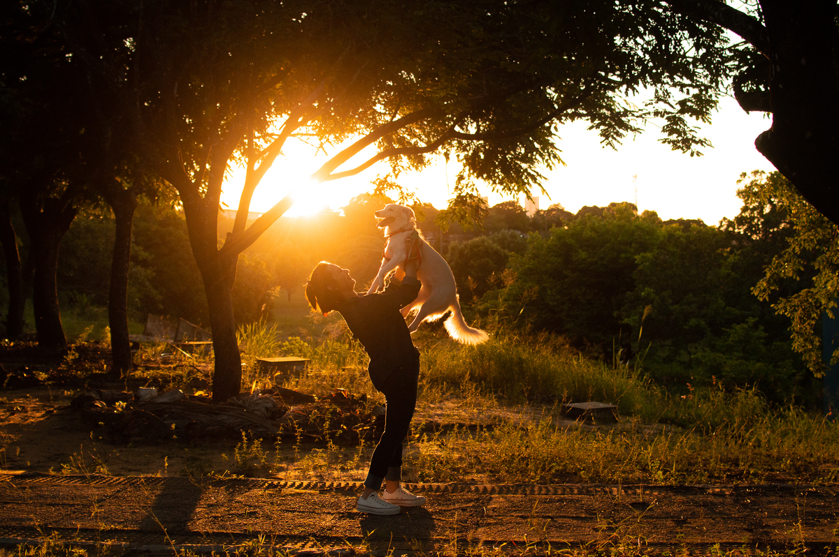 ensaio pet em natal, ensaio pet em natal/rn, fotografia pet, fotografia pet em natal, fotografia pet em natal/rn, fotografia de cães, natal/rn