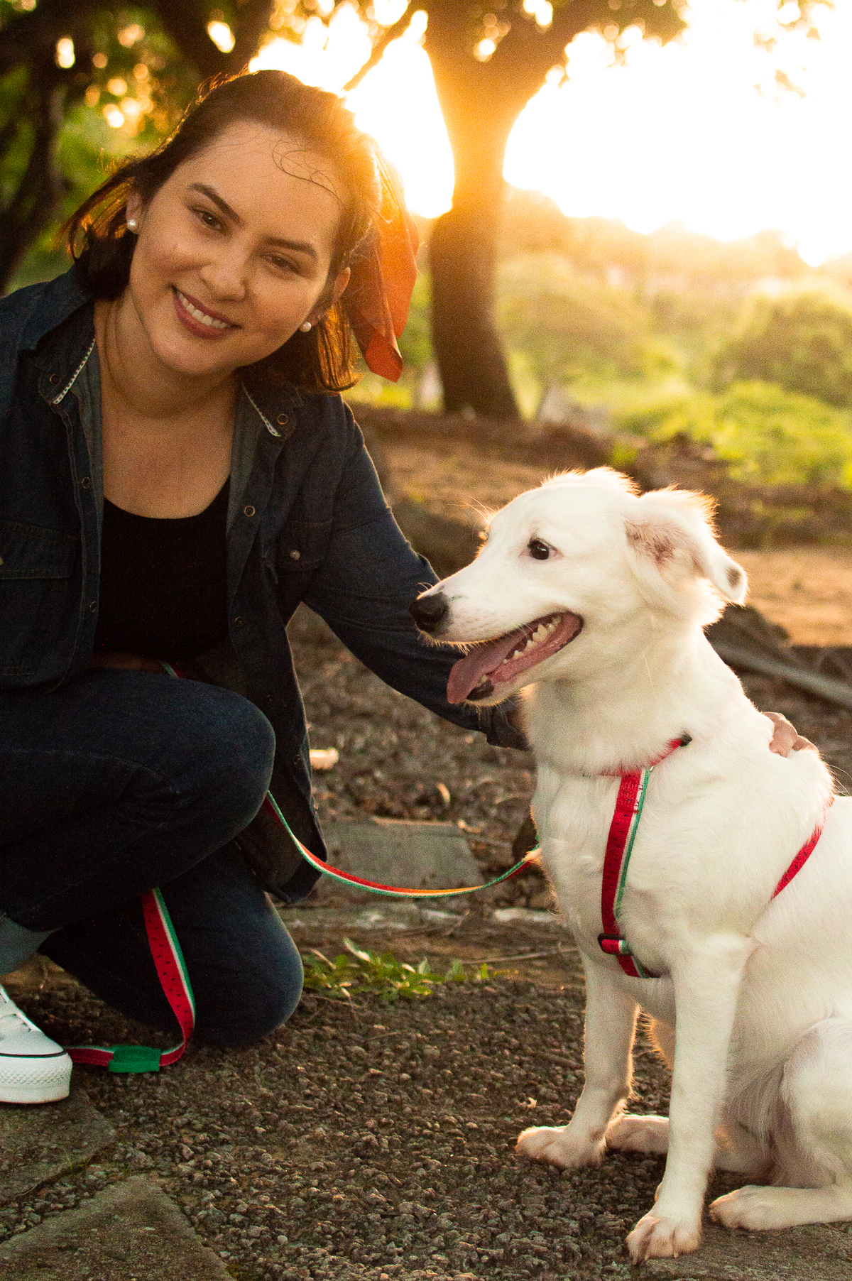 ensaio pet em natal, ensaio pet em natal/rn, fotografia pet, fotografia pet em natal, fotografia pet em natal/rn, fotografia de cães, natal/rn
