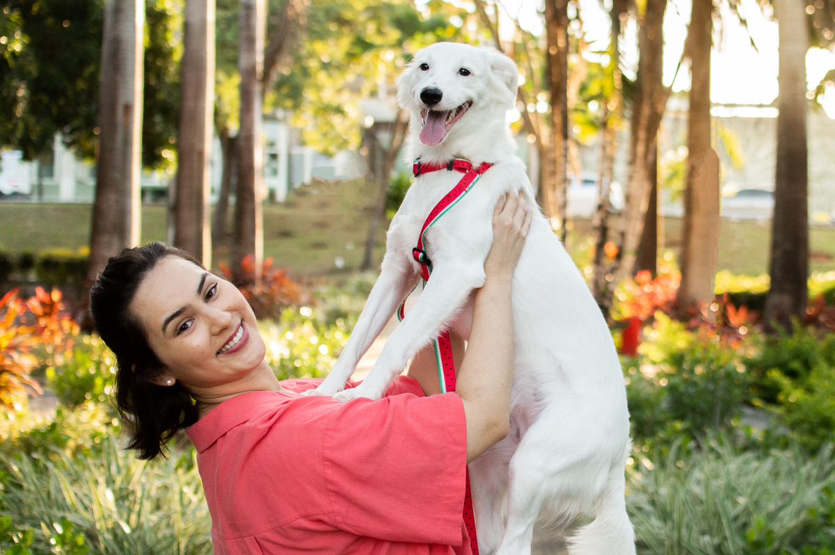 ensaio pet em natal, ensaio pet em natal/rn, fotografia pet, fotografia pet em natal, fotografia pet em natal/rn, fotografia de cães, natal/rn