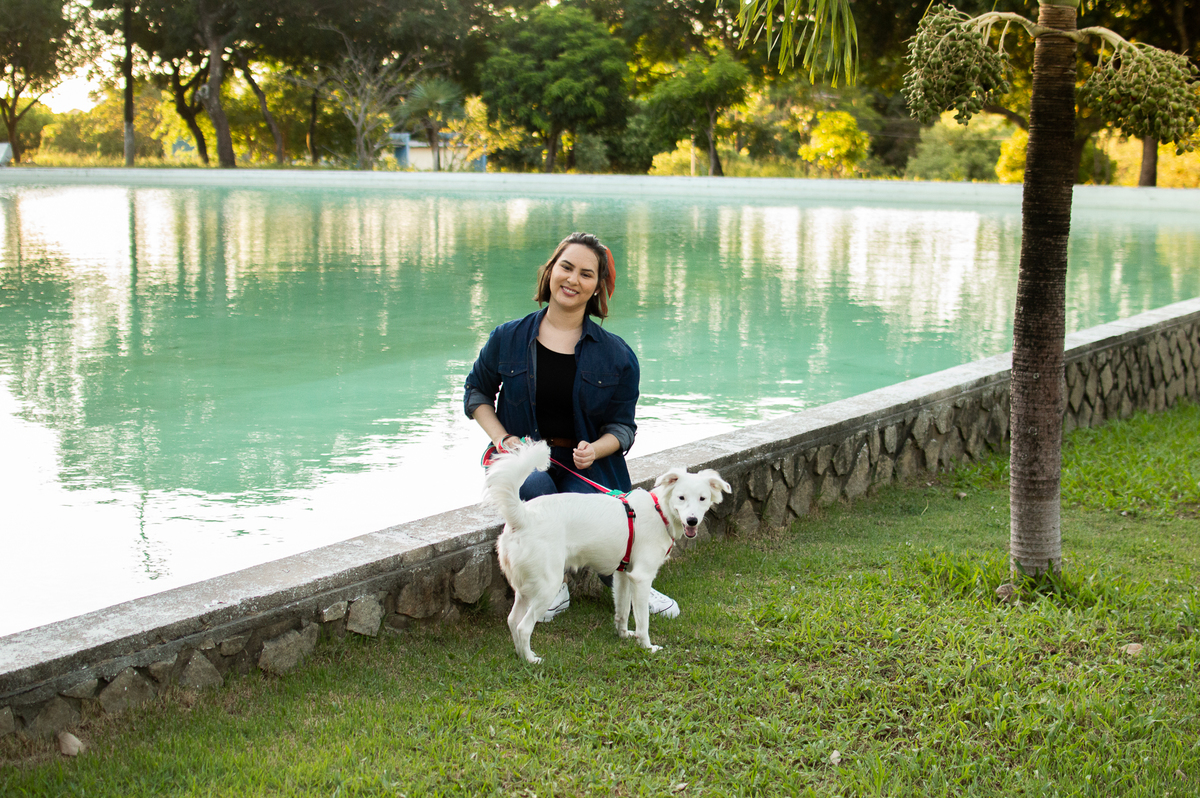 ensaio pet em natal, ensaio pet em natal/rn, fotografia pet, fotografia pet em natal, fotografia pet em natal/rn, fotografia de cães, natal/rn