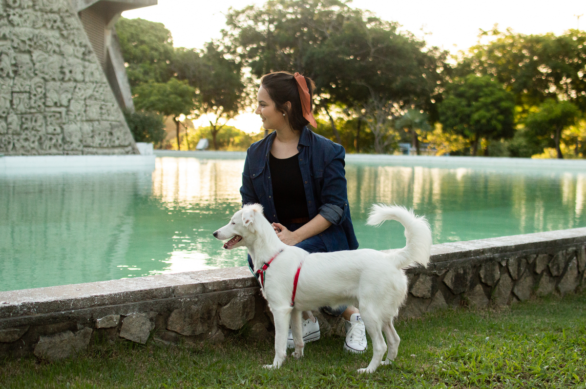 ensaio pet em natal, ensaio pet em natal/rn, fotografia pet, fotografia pet em natal, fotografia pet em natal/rn, fotografia de cães, natal/rn