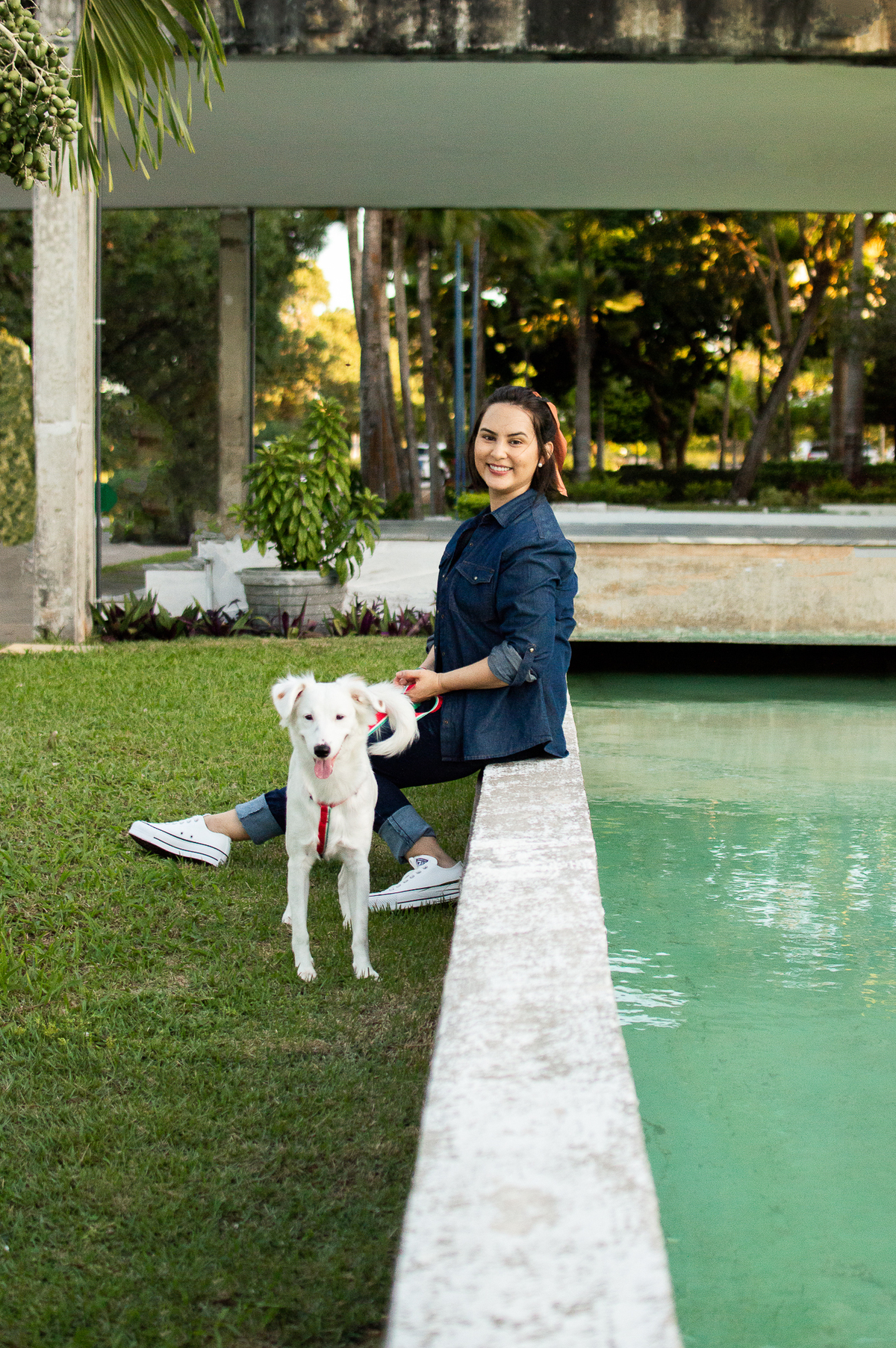 ensaio pet em natal, ensaio pet em natal/rn, fotografia pet, fotografia pet em natal, fotografia pet em natal/rn, fotografia de cães, natal/rn