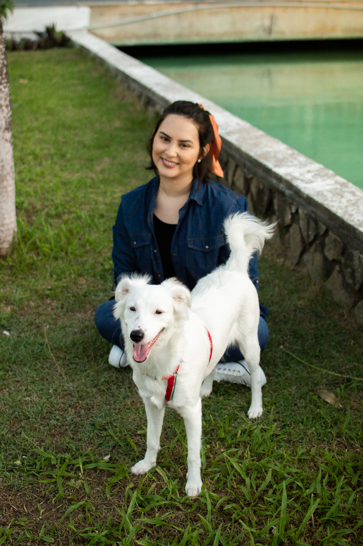 ensaio pet em natal, ensaio pet em natal/rn, fotografia pet, fotografia pet em natal, fotografia pet em natal/rn, fotografia de cães, natal/rn