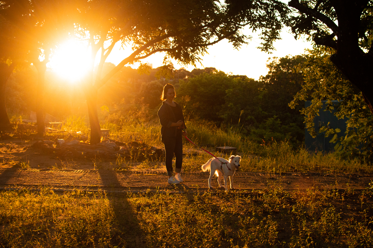 ensaio pet em natal, ensaio pet em natal/rn, fotografia pet, fotografia pet em natal, fotografia pet em natal/rn, fotografia de cães, natal/rn