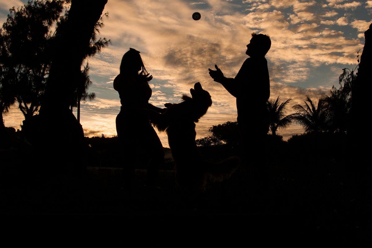 Ensaio Pet em Natal, Ensaio Pet em Natal/RN, Natal/RN, Fotógrafo Pet em Natal, Ensaio Via Costeira, Ensaio de família em Natal, Ensaio de família com cachorro