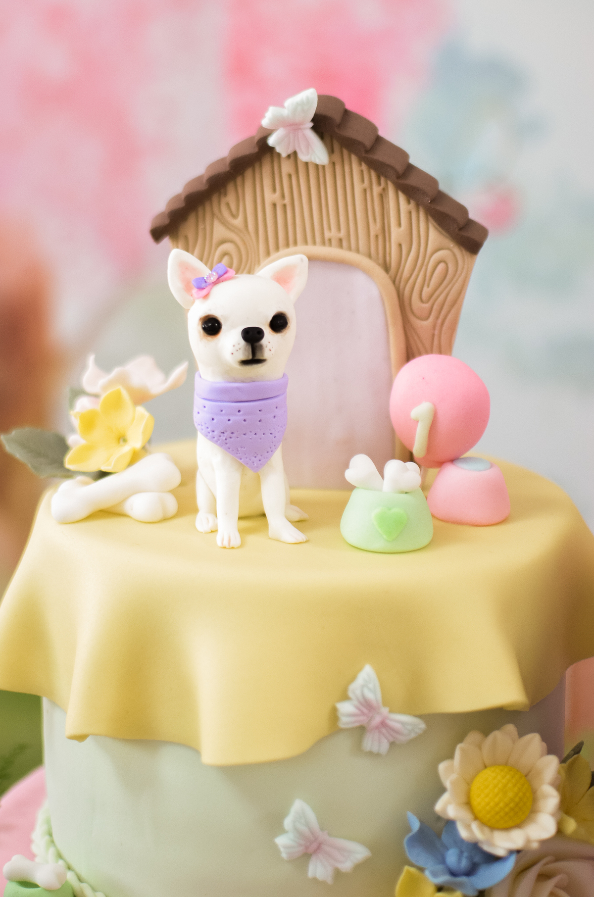 aniversário pet, natal rn, festa pet em natal, aniversario pet em natal, bolo pet, comemoração, evento pet, fotografa pet em natal rn, fotografia pet, fotografia de cães, fotógrafa pet, fotografia de cães em natal