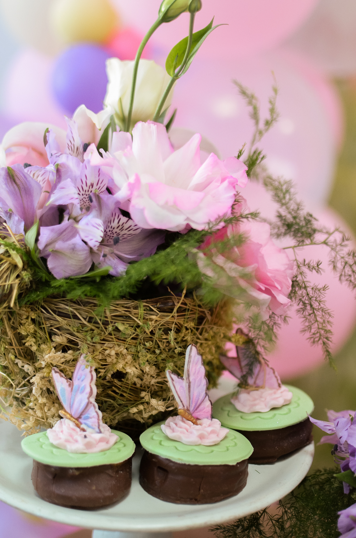 aniversário pet, natal rn, festa pet em natal, aniversario pet em natal, bolo pet, comemoração, evento pet, fotografa pet em natal rn, fotografia pet, fotografia de cães, fotógrafa pet, fotografia de cães em natal