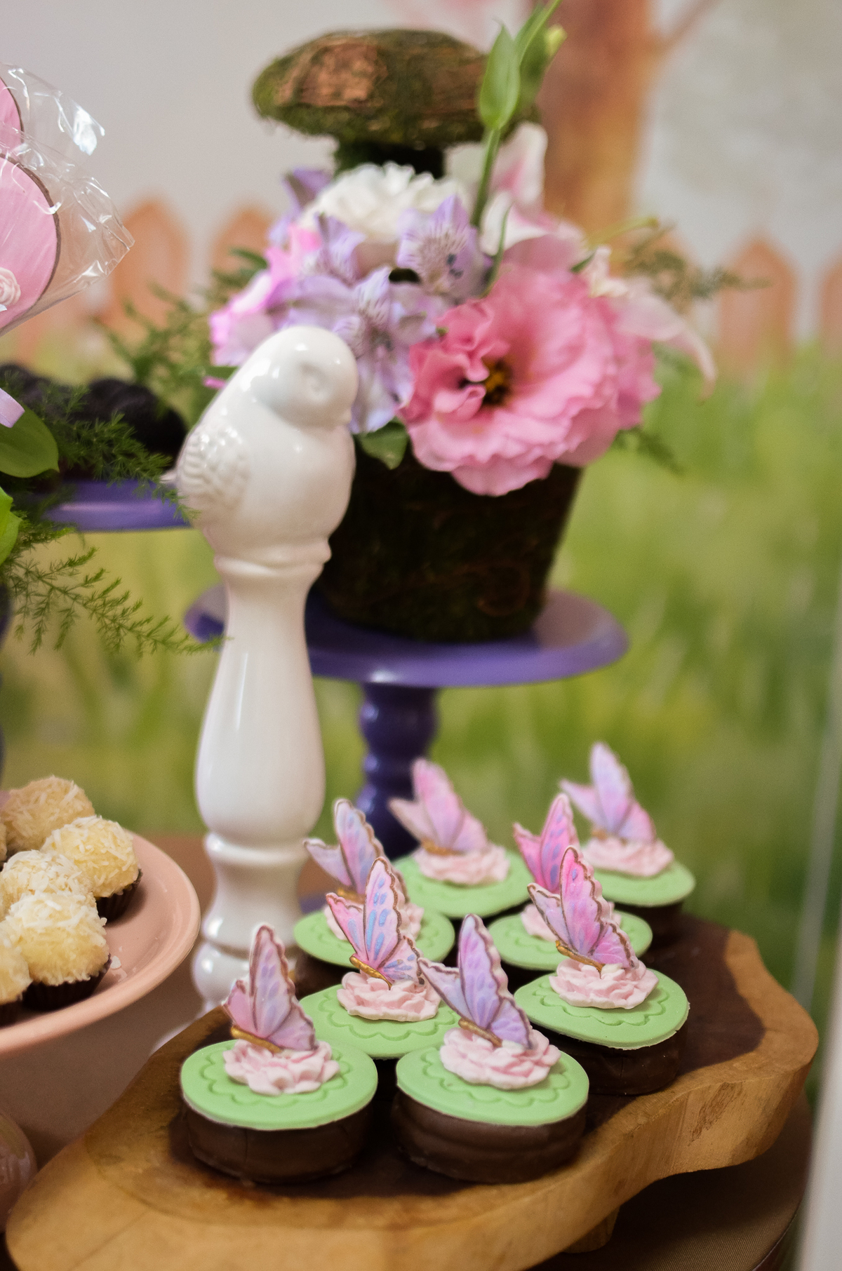 aniversário pet, natal rn, festa pet em natal, aniversario pet em natal, bolo pet, comemoração, evento pet, fotografa pet em natal rn, fotografia pet, fotografia de cães, fotógrafa pet, fotografia de cães em natal