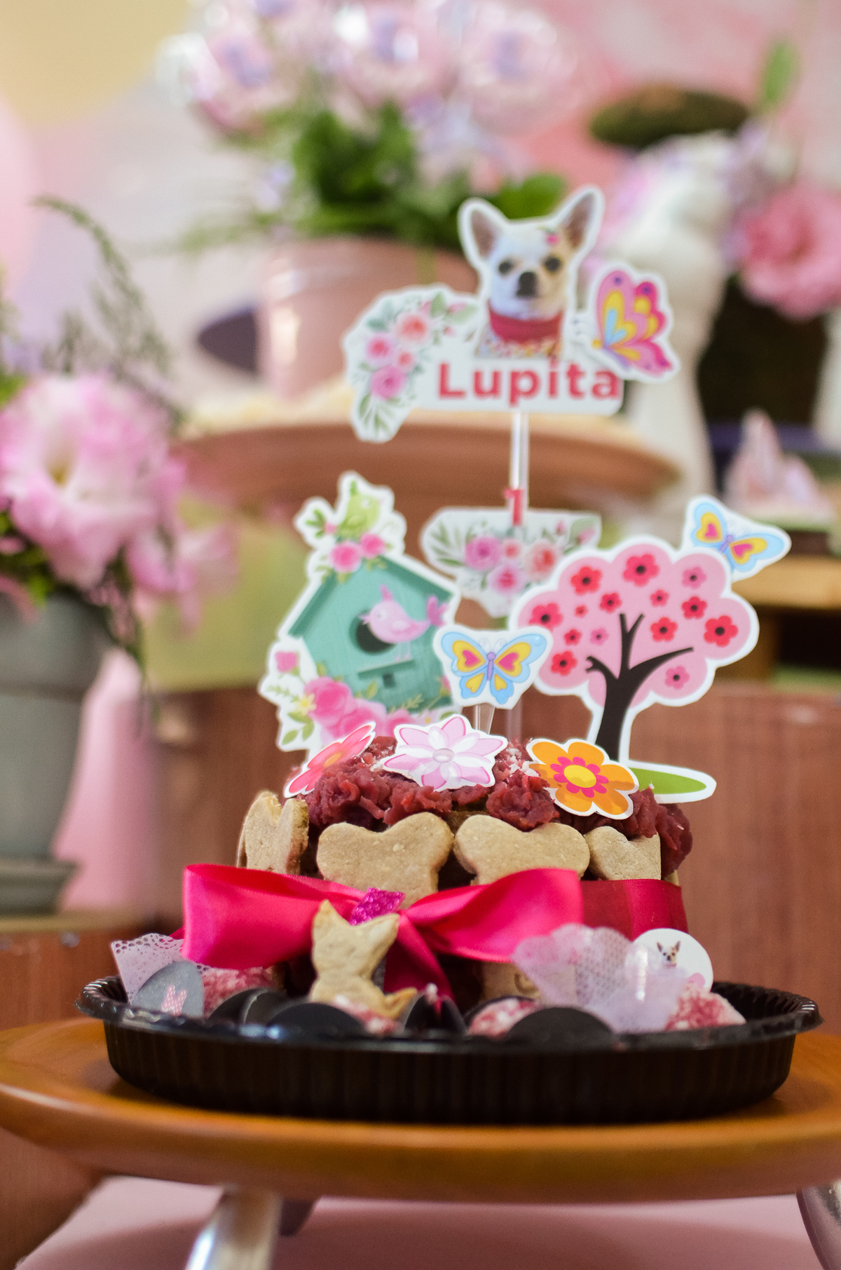 aniversário pet, natal rn, festa pet em natal, aniversario pet em natal, bolo pet, comemoração, evento pet, fotografa pet em natal rn, fotografia pet, fotografia de cães, fotógrafa pet, fotografia de cães em natal