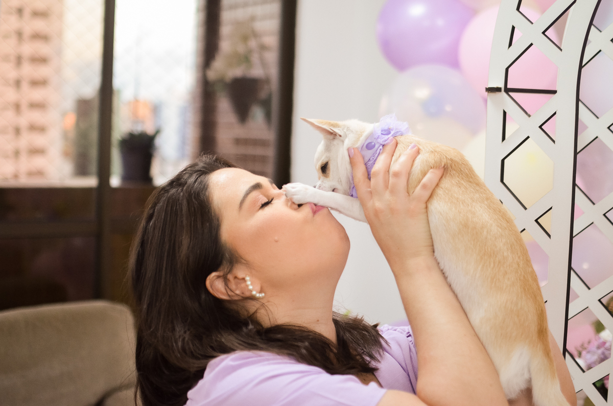 aniversário pet, natal rn, festa pet em natal, aniversario pet em natal, bolo pet, comemoração, evento pet, fotografa pet em natal rn, fotografia pet, fotografia de cães, fotógrafa pet, fotografia de cães em natal, chihuahua natal