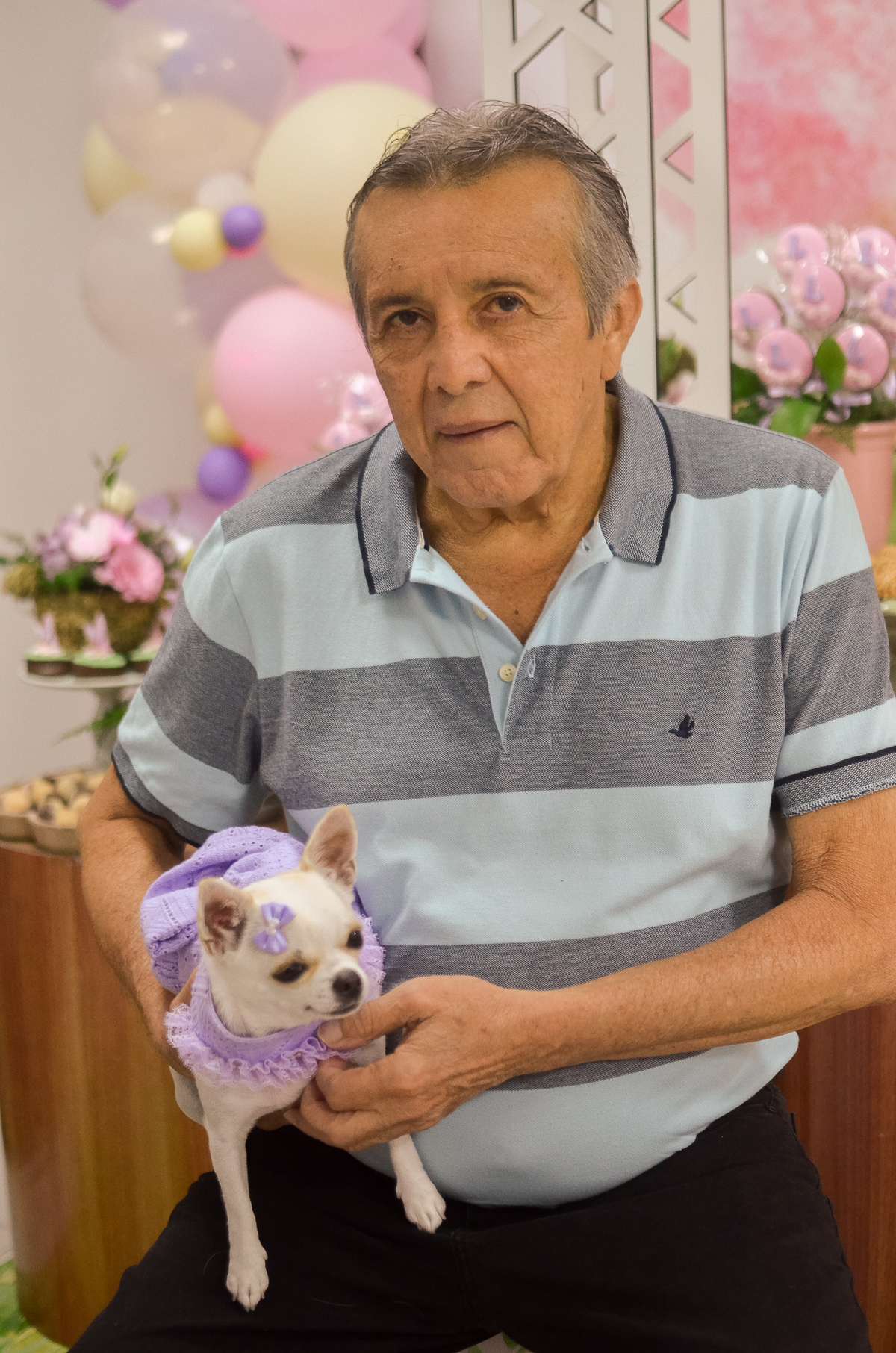 aniversário pet, natal rn, festa pet em natal, aniversario pet em natal, bolo pet, comemoração, evento pet, fotografa pet em natal rn, fotografia pet, fotografia de cães, fotógrafa pet, fotografia de cães em natal, chihuahua natal